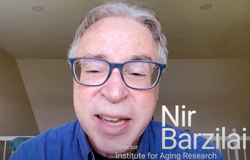 Dr. Nir Barzilai, the director of aging research at the Albert Einstein College of Medicine, speaking in a Longevity.Technology interview