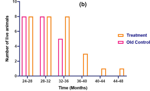 Pig-derived exosome treatment significantly extends lifespan in aged, female rats.