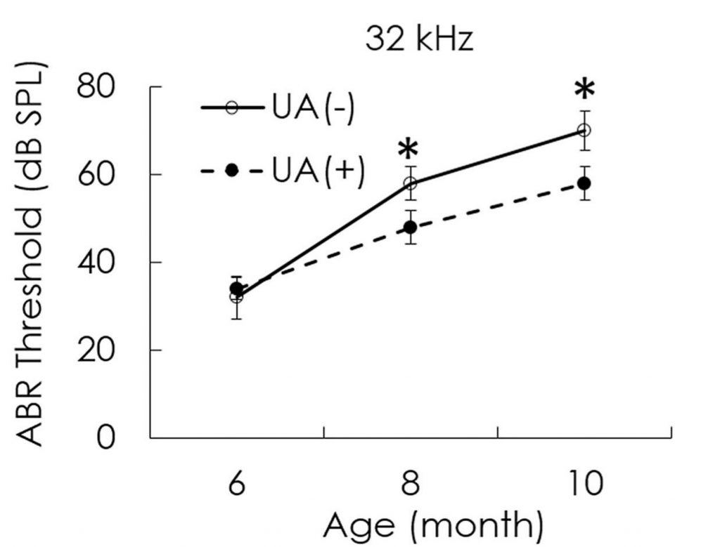 A graph showing that the ABR threshold is lower in mice treated with urolithin A. 