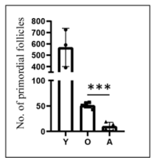 A bar graph. 