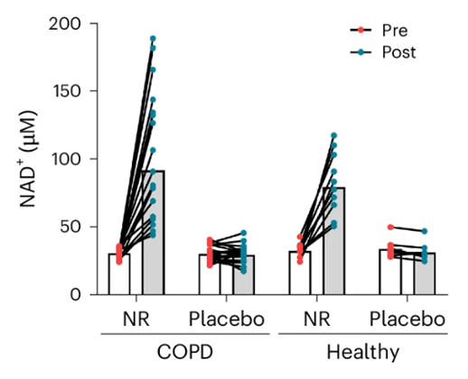 NR treatment more than doubled blood NAD+ levels in patients with COPD.