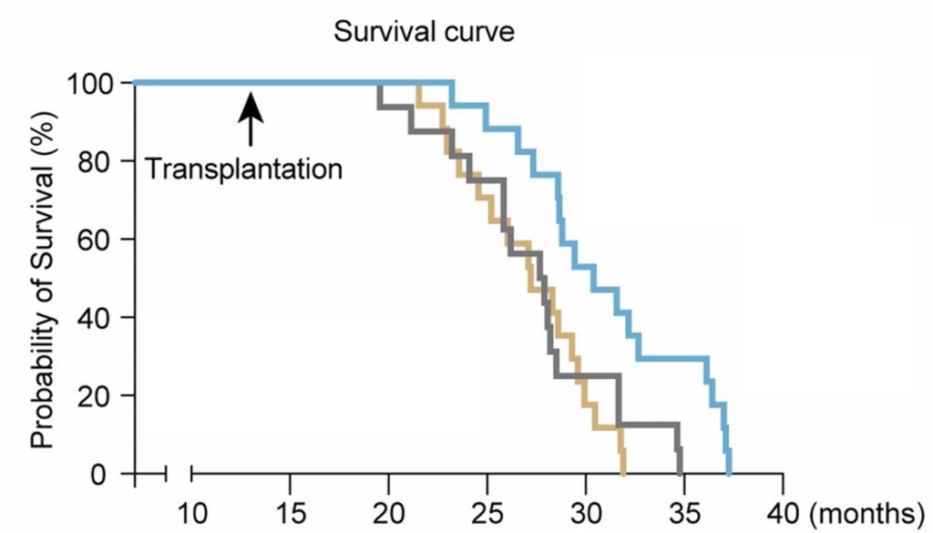 A survival curve. 