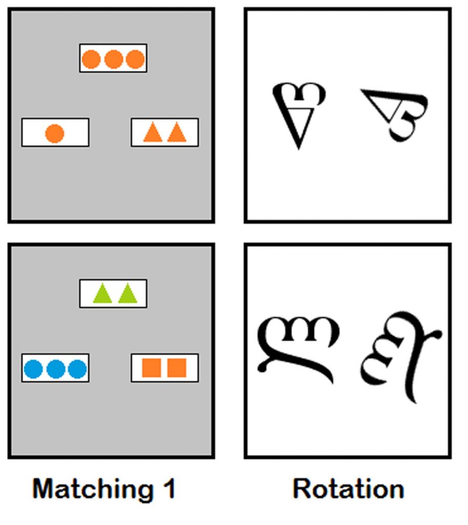 Figure showing examples of abstract shapes and the Georgian Cyrillian alphabet.