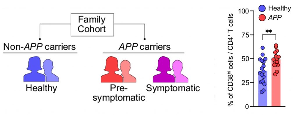 A chart showing how the participants were divided next to a graph.