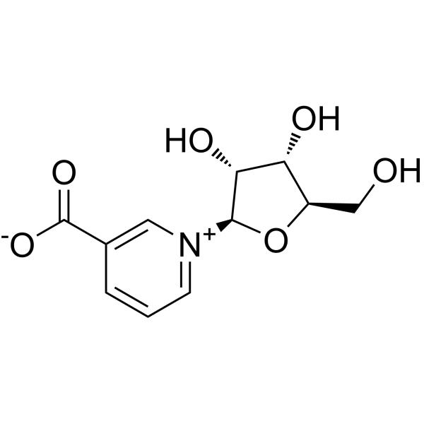 Molecule.