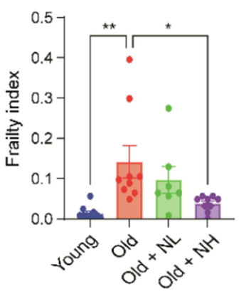 Niclosamide reduces frailty in old mice.