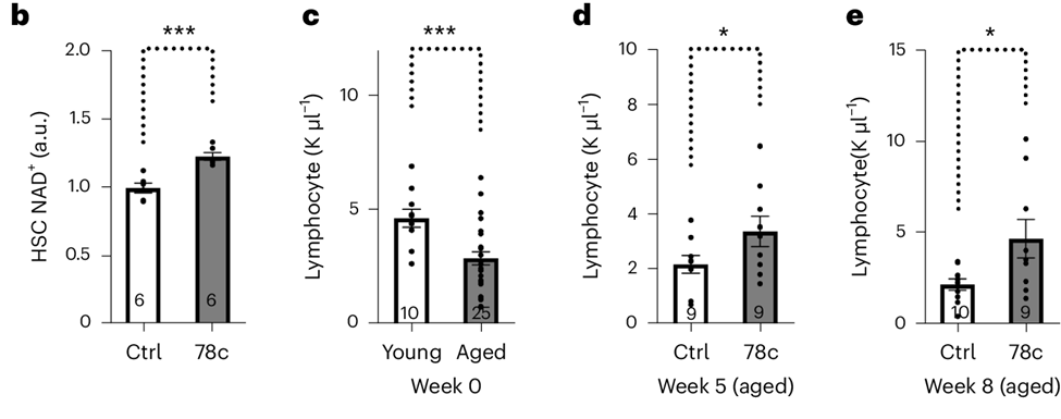 Boosting NAD+ levels in blood stem cells produces more immune cells that fight infections.