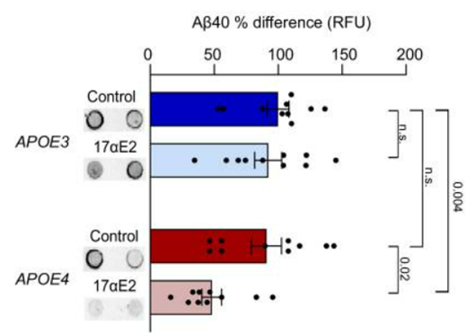 Alfatradiol nearly cut the abundance of Alzheimer's disease-associated neuronal plaques in half in APOE4 mice.