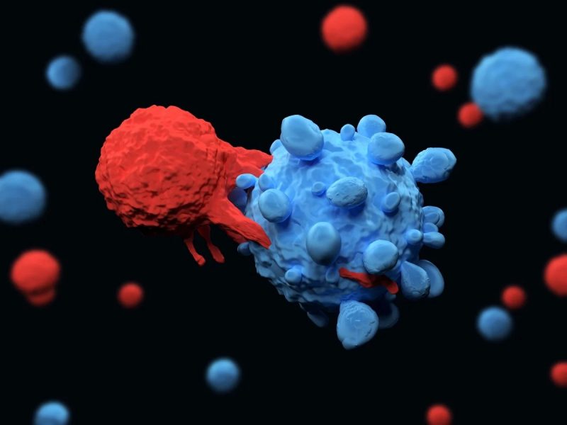 A CAR-T cell attacking a cancer cell