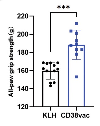 A bar graph