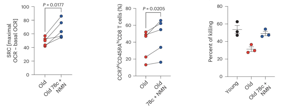 Age and NAD+ metabolism determine responses to CAR-T cell therapy in persons with cancer.