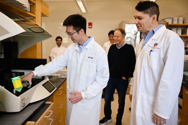 The study’s principal investigator, Bruce Yankner (center), with four laboratory employees
