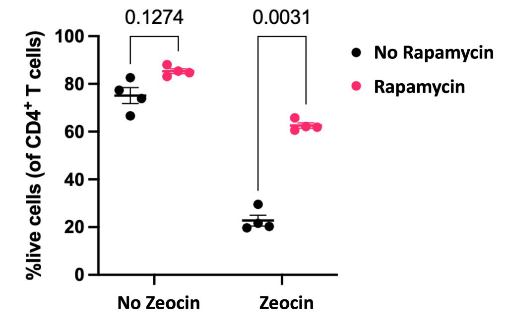 A graph