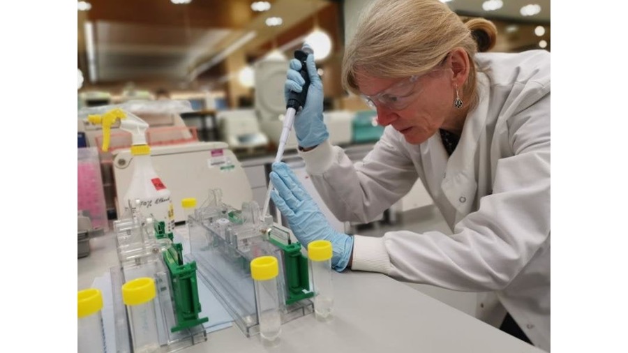 A women in a lab coat conducting an experiment