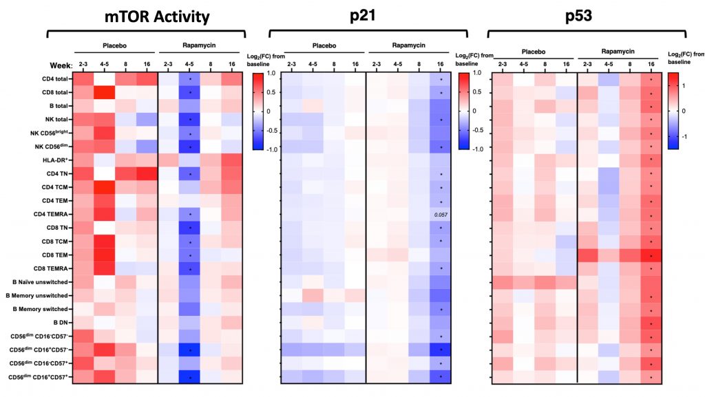 Three heatmaps