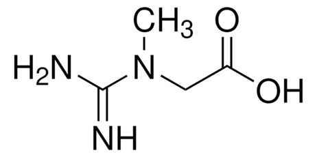 The molecular structure of creatine