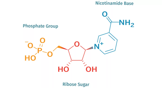 The molecular structure of NMN