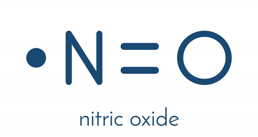 The molecular structure of nitric oxide