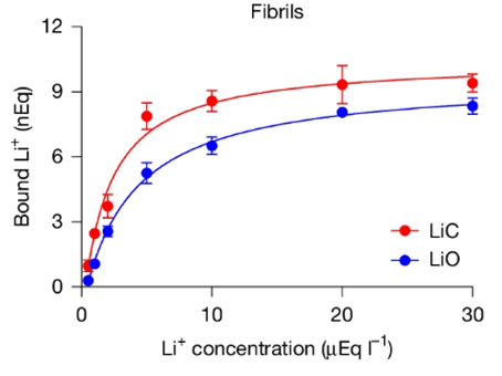 Lithium orotate has less affinity to bind to amyloid beta fibrils than lithium carbonate.