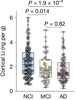 Brain lithium levels were significantly lower in individuals with mild cognitive impairment and patients with Alzheimer's disease.
