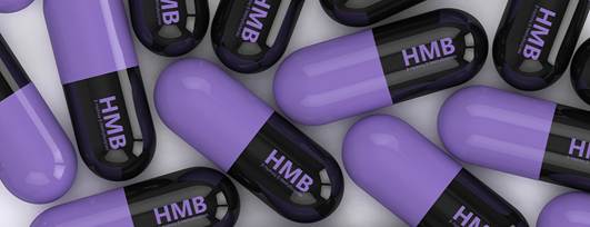 Capsules containing HMB