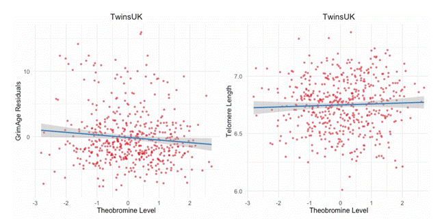 Higher levels of circulating theobromine in the blood were associated with a slower pace of aging, as measured with two different assessments.