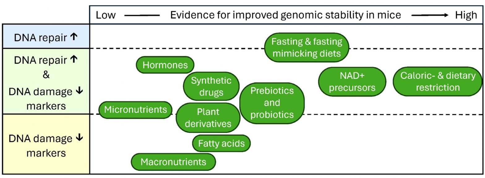 NAD+ Ranked #2 Most Powerful Way to Reverse DNA Damage & Aging