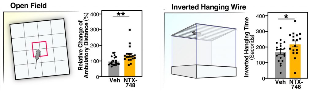 Two graphs with diagrams showing the experimental paradigm for each 