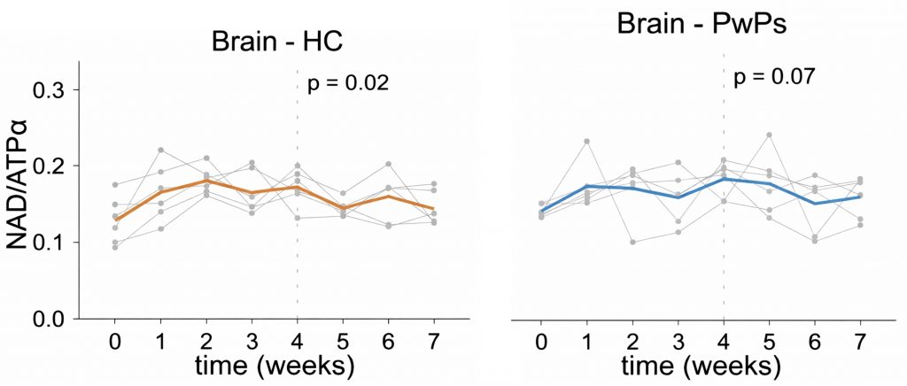 Two line plots. 