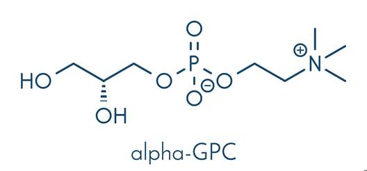 The molecular structure of alpha-GPC