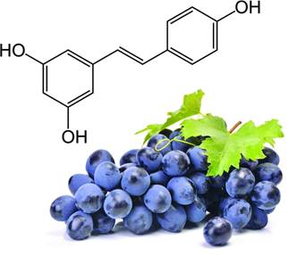 Resveratrol's molecular structure alongside one of its sources, grapes