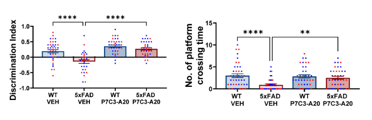 A NAD+-restoring drug improves learning and memory in mice with Alzheimer's disease symptoms.