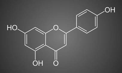 The molecular structure of apigenin