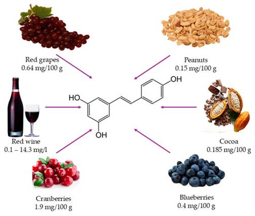 Sources of resveratrol include red grapes, peanuts, cocoa, blueberries, cranberries, and red wine