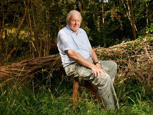 An image of David Attenborough in a natural setting