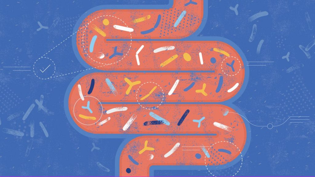 page thumbnail