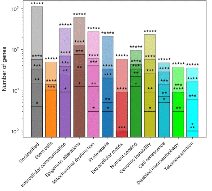 More than 1,000 genes were associated with hallmarks of aging.