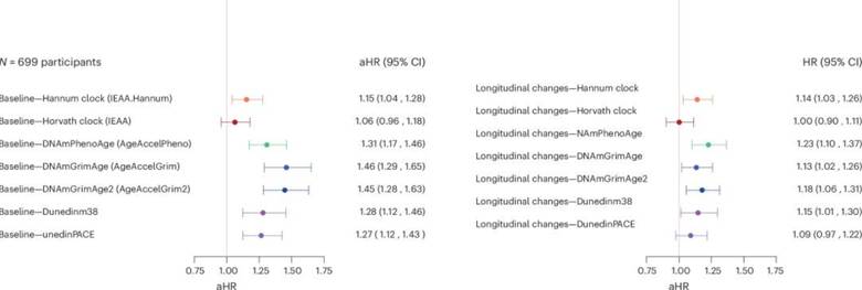 Single aging clock readings conferred different mortality hazard ratios than those based on multiple readings.